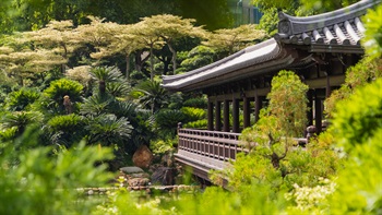  Nan Lian Garden